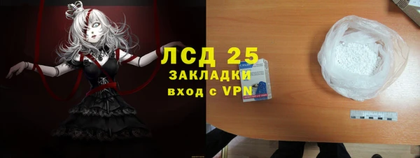 прущий лед Алзамай
