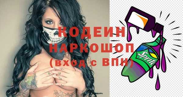 прущий лед Алзамай