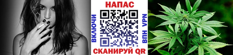 Конопля White Widow  хочу   Геленджик 